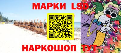 крисы Кулебаки