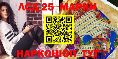 крисы Кулебаки