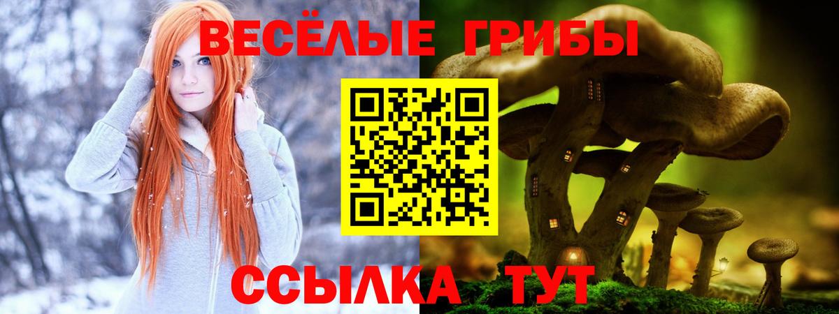 Галлюциногенные грибы Psilocybine cubensis  Псилоцибиновые грибы мицелий  Всеволожск  Вход с VPN 